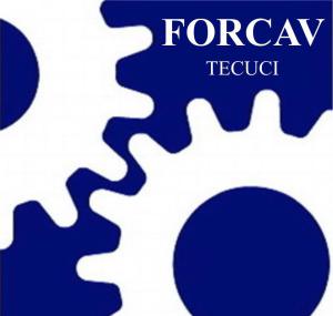 FORCAV SRL