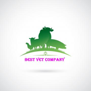 BEST VET COMPANY SRL